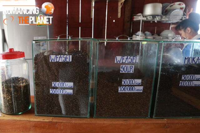 Weasel Coffee Beans in Vietnam