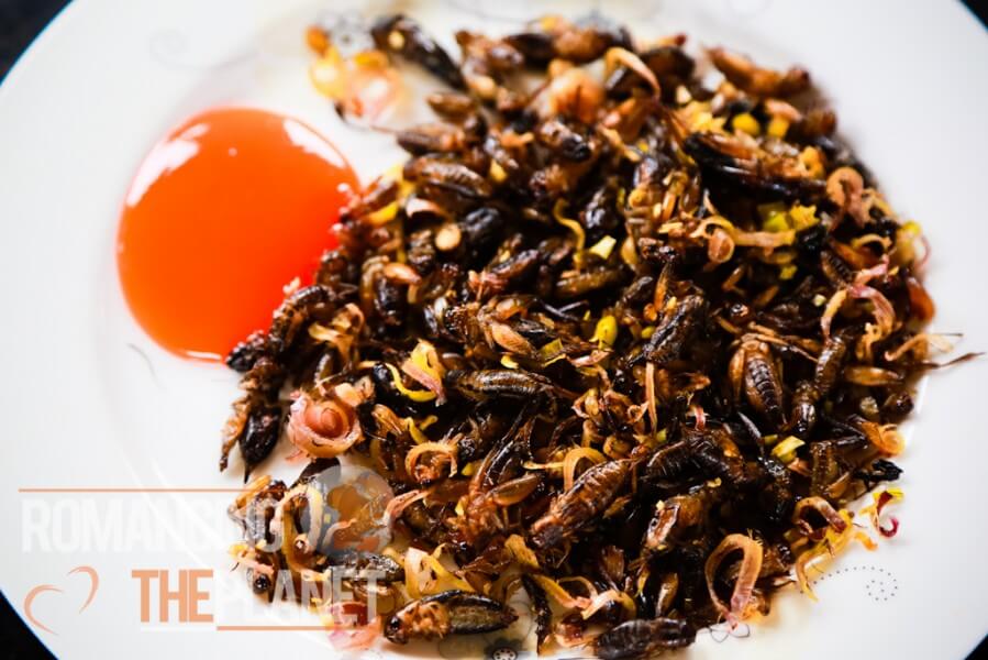 Fried crickets