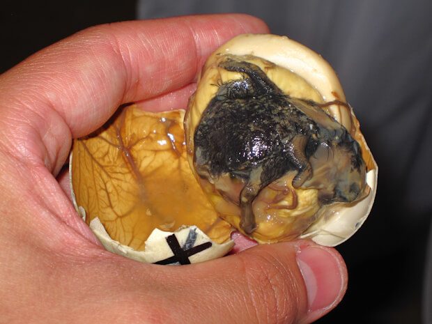 Fetal Duck Egg