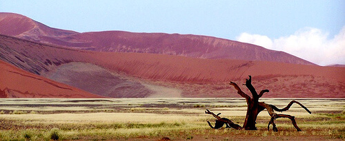 Namib Sand Sea – Namibia
