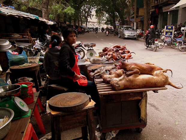 Woman selling dog meat