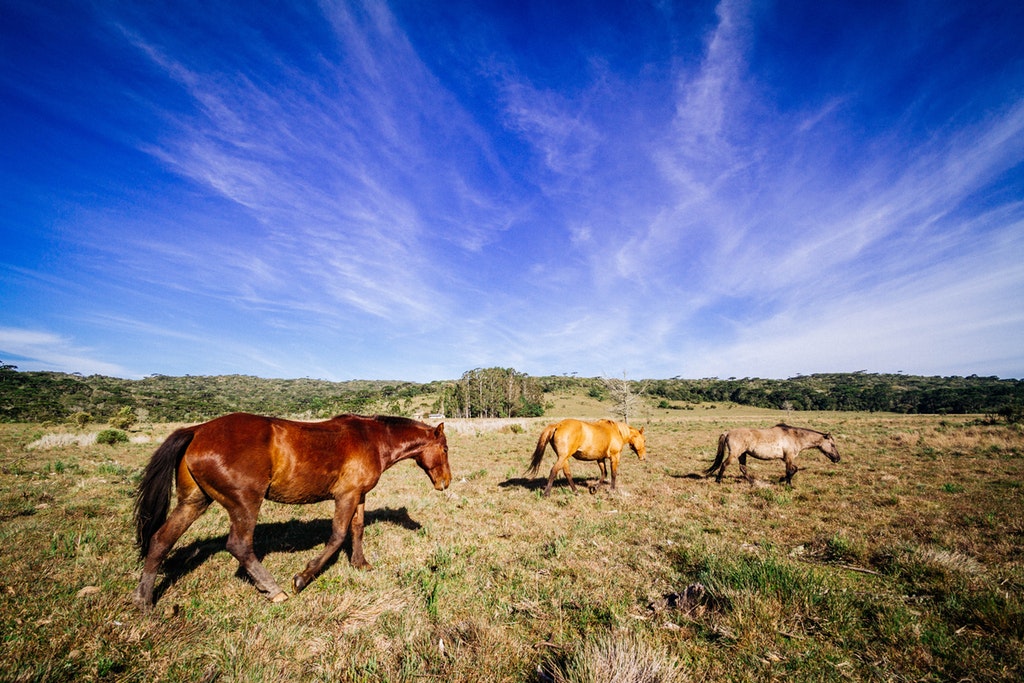 bucket list for thirty's traveler mongolia