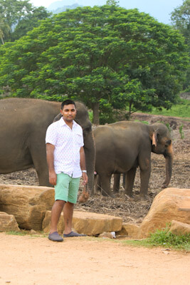 At Pinnawala Elephant Orphanage